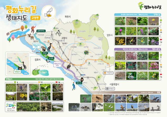 2020 평화누리길생태지도 고양